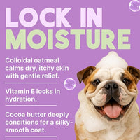 TropiClean Dog Conditioner, Easy Detangling & Moisturizing Conditioner, Puppy Safe, Made in The USA, Kiwi & Cocoa Butter Scent, 20oz.