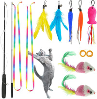 ZPH Cat Toys Interactive for Indoor Cats - SET B