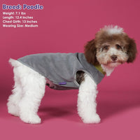 2 Pack Fleece Dog Sweater Pullover Lightweight Reflective Jacket – Essentials for Dogs - Grass Green & Grey / XXX-Large - image 2