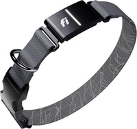 Fi Series 3+ GPS Dog Collar & Tracker, Membership Required - Gray / Large