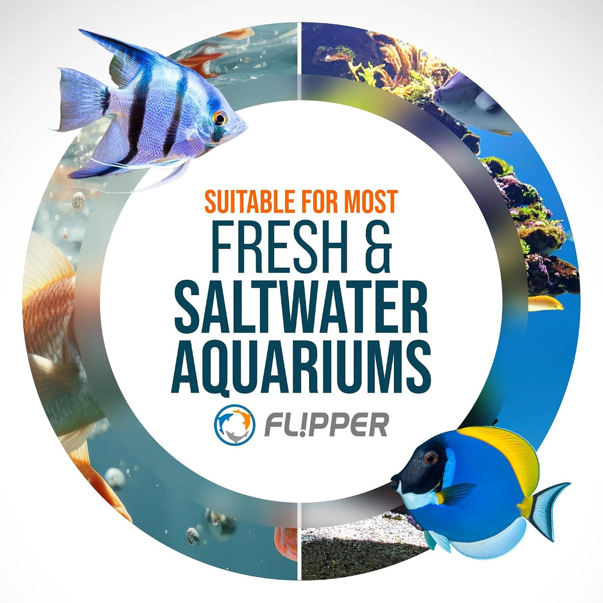 FLIPPER Float Standard Magnetic Aquarium Cleaner - Nano - up to 1/4" - image 4