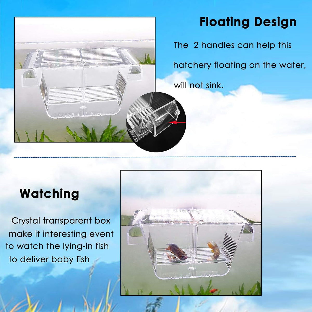 capetsma Fish Breeding Box - S - image 3