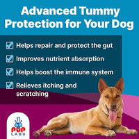 K9 Belly Bliss, All-Natural Gut Health for Dogs, Vet Approved Prebiotic for Dogs for Daily Digestive Support & Dog Constipation Relief, Topper for Dry & Wet Food, 3 Pack with 30 Scoops Each.