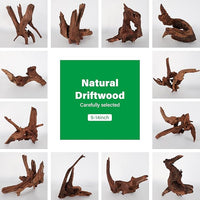 Driftwood for Aquarium Natural Aquarium Wood for Aquascaping Fish Tank Decorations Reptile Tank Decor (Natural Driftwood 9-14" (Pack of 2))