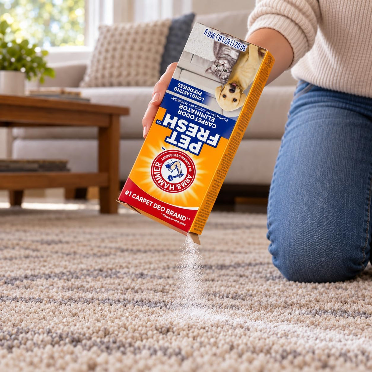 Pet Fresh Carpet Odor Eliminator - 16.3 Ounce (Pack of 3) - image 2
