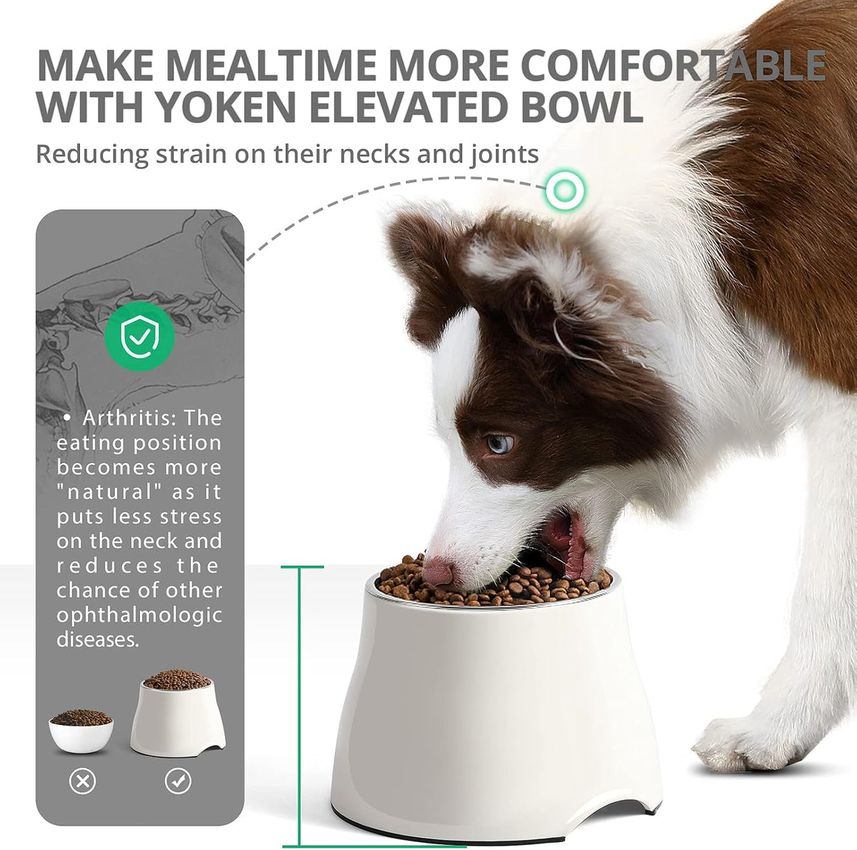 yoken Elevated Dog Bowls,[Prevention of Vertebrae Disease][Super Non-Slip] Dog Bowl with Stainless - image 2