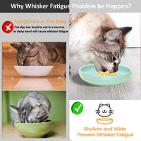 Ceramic Cat Bowls, Shallow Cat Dishes for Food and Water - Mint green - image 4