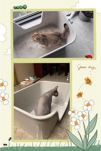 Vealind Jumbo Litter Box, XL Litter Boxes for Big Cats, Extra Large Space, High Sided Litter Pan, Leak-Proof & Anti-Splashing, Easy Clean & Durable (25” * 17” * 13” Grey)