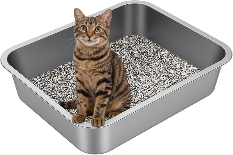 Stainless Steel High Sided Cat Litter Box – Daily Care for Cats - 19.69"L x 13.78"W x 3.94"H