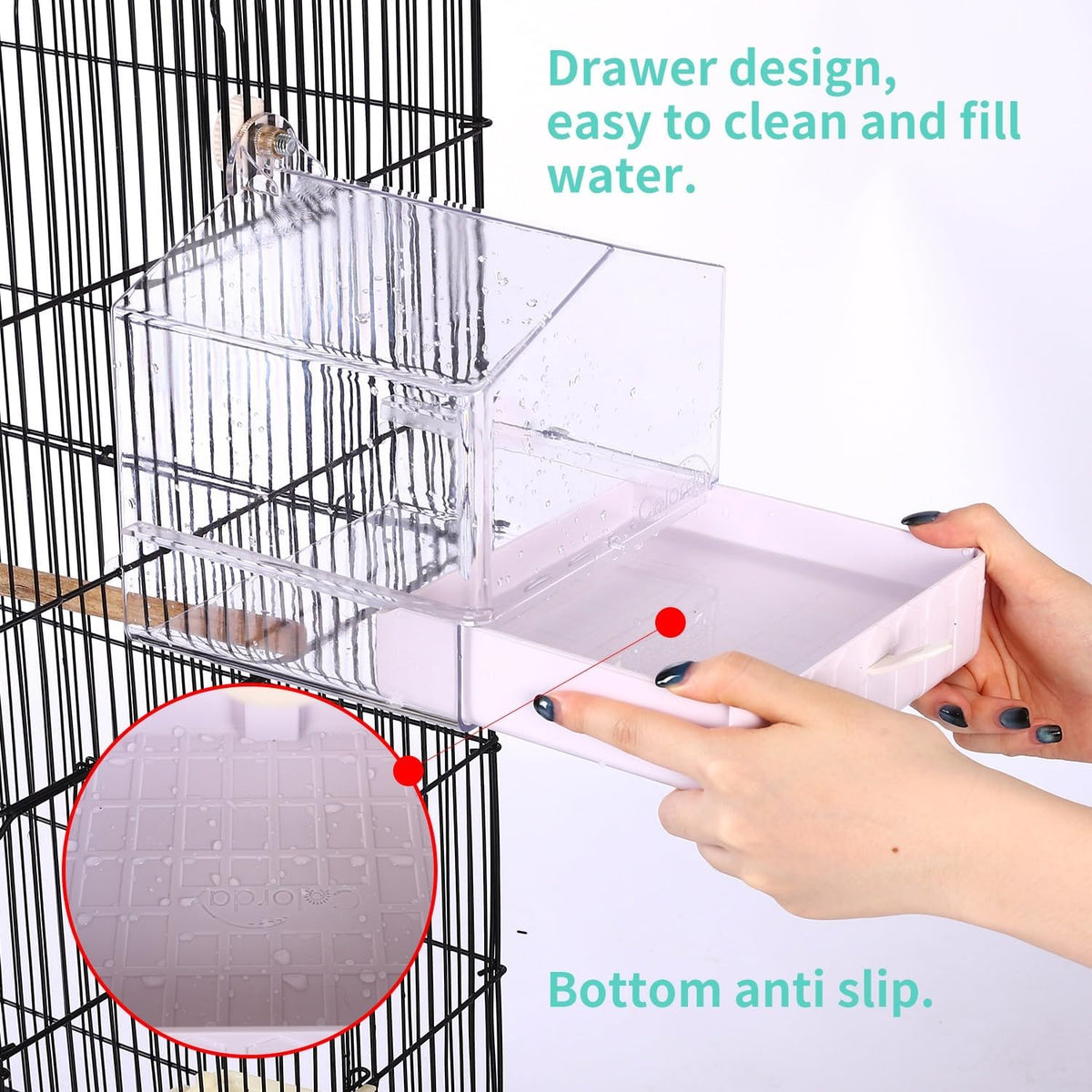 Colorday Hanging Bird Bath for Cage, Pet Parrot Bath - image 2