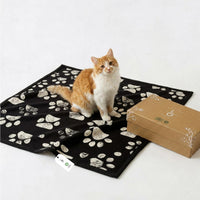 Small Pet Blanket, 100% Organic Cotton - Beige Paw/Black