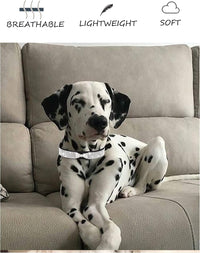 Dog Collar for Small Dogs - L / rose red4 - image 4