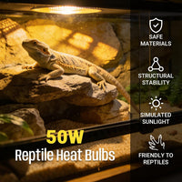 CALPALMY 4-Pack 50W UVA+UVB Bulbs - 50.0 Watts - image 2