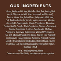Instinct Original Dry Cat Food, Raw Coated Kibble, High Protein, Grain Free Recipe - Real Salmon, 10 lb. Bag