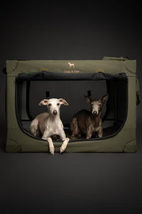 Noah & Paw XXL Collapsible Dog Crate, 42" - Green / 30.0"L x 21.2"W x 21.2"H - image 2