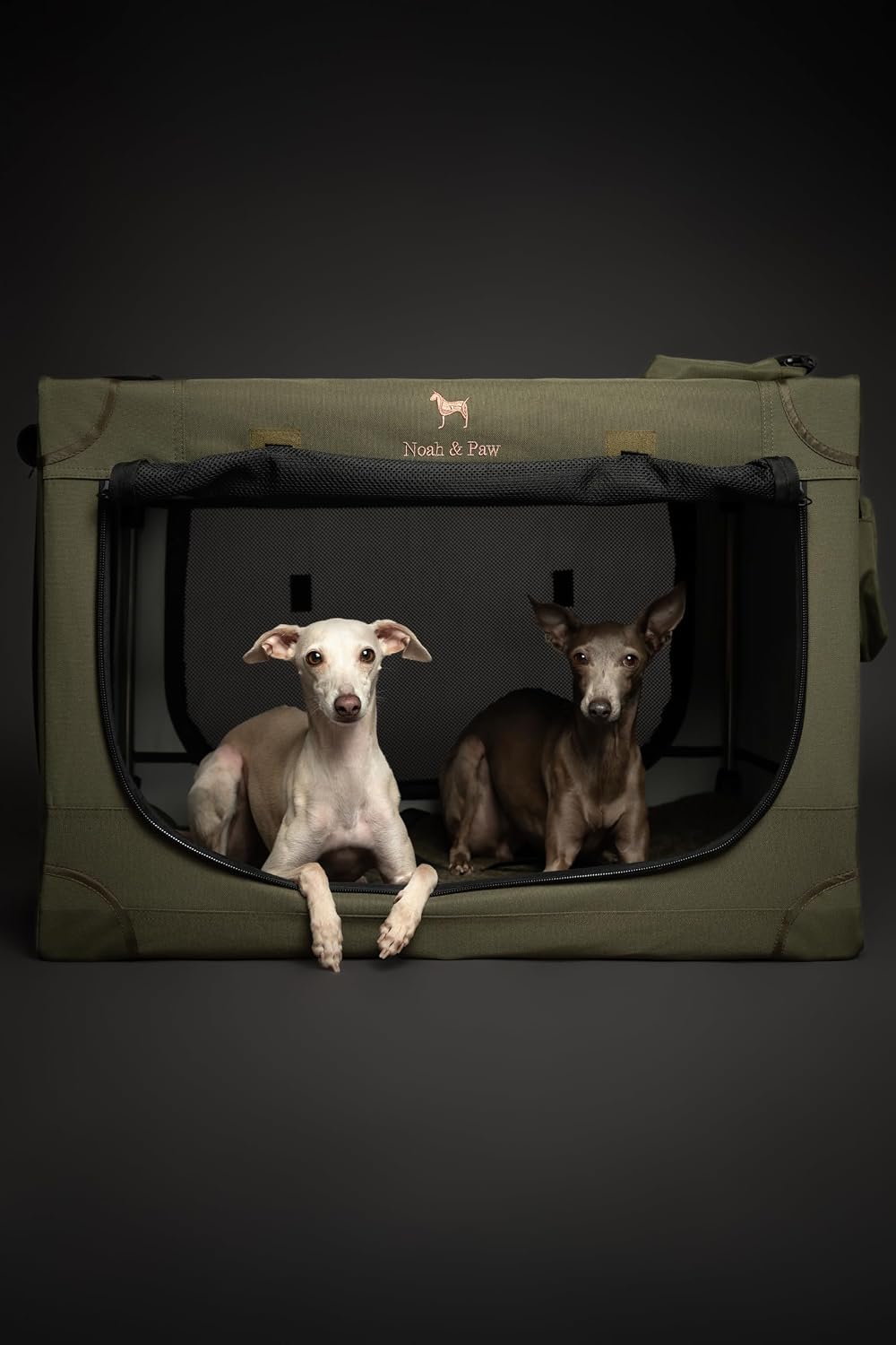 Noah & Paw XXL Collapsible Dog Crate, 42" - Green / 30.0"L x 21.2"W x 21.2"H - image 2