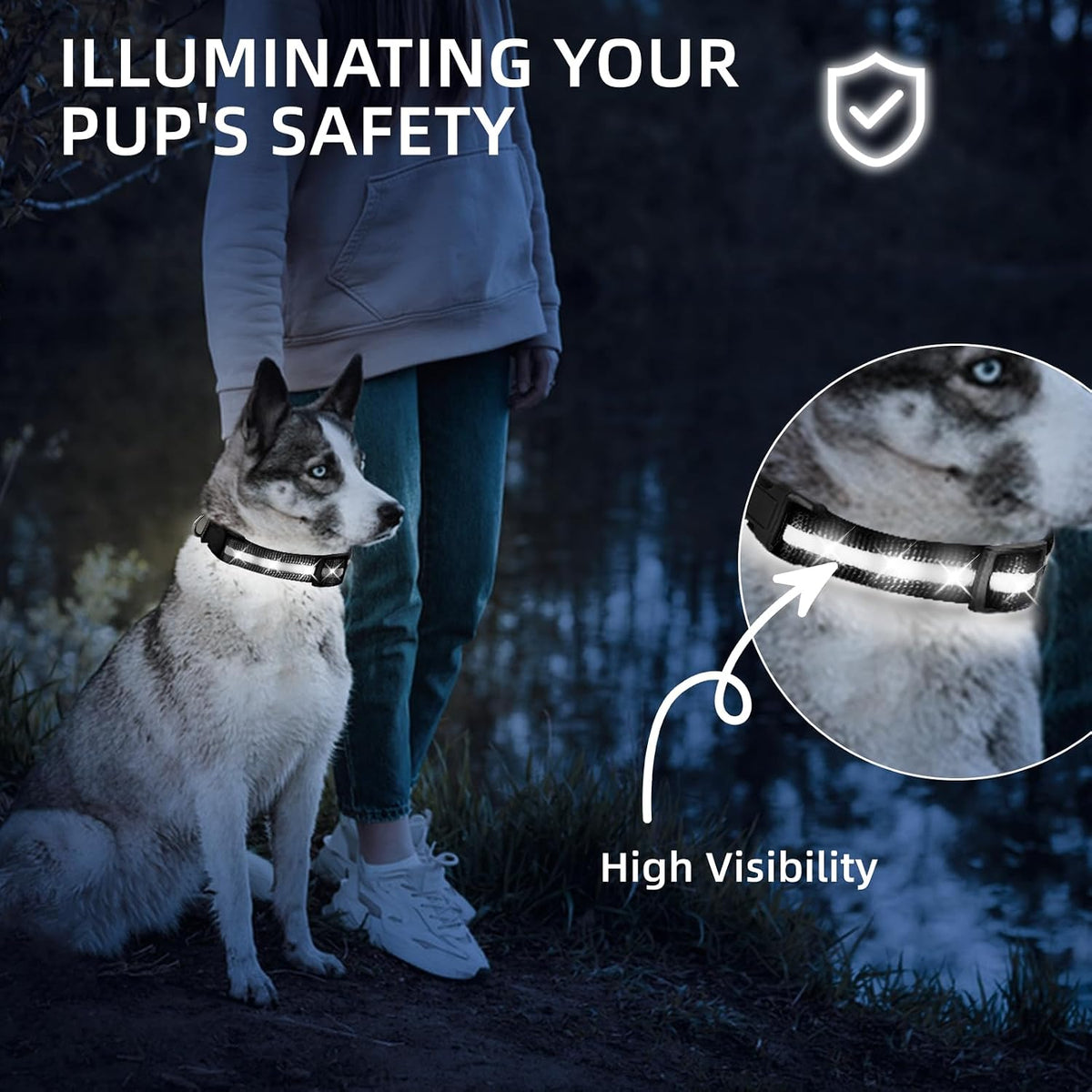 Super Bright LED Dog Collar, Waterproof Light up Collars – Essentials for Dogs - M (Width:1",Length:14.5" - 19.5") / White - image 2