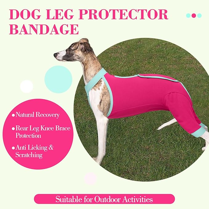 ROZKITCH Dog Surgery Leg Sleeve Rear Legs, Male Female Pet Prevent Licking Wound Elbow Knee Protector, Dog Recovery Suit Cone Collar Alternative Pants Shirt for Wound Heal Wrap Rosered M