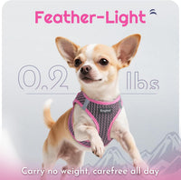 Eagloo Small Dog Harness and Leash Set - L(Chest:18.2"-20.5") / Pink - image 2