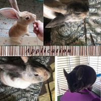 500g Apple Sticks for Small Animals: Wood Molar Toys for Rabbits - 250g - image 3