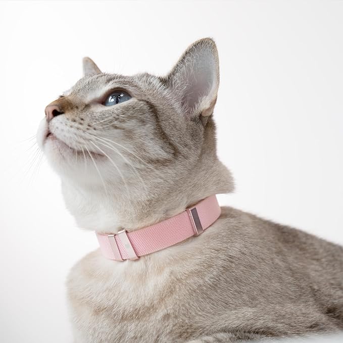 Safety Cat Collar - U.S. IDA Gold Awarding Design, Elastic Quick Release, Non Breakaway - Lightweight for Kitten, Neck Fit 7.8'-15.7' for All Small Large Cat,M(Midnight Black)