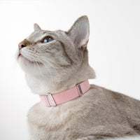 Safety Cat Collar - U.S. IDA Gold Awarding Design, Stretch Elastic Quick Release, Non Breakaway - Light Weight for Kitten, Neck Fit 5.9'-11.8' for All Small Large Cat,S(Linen)
