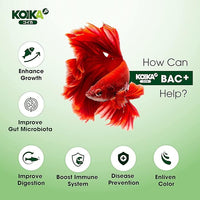 KOIKA BAC+ Aquarium Probiotics, Pleasant Smell, Disease Resistance, Immunity Boosting (BAC+ (New Formula), 105ml)