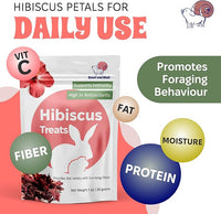 Snout and Shell Hibiscus Treats – 100% Natural Dried Flowers for Small Pets – Immunity Support & Antioxidants – Healthy Snack for Rabbits, Guinea Pigs, & Chinchillas (1 oz)