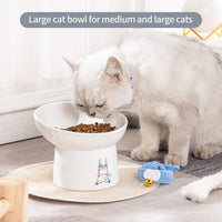 6.5 Inch Extra Wide Ceramic Raised Cat Bowl Set - White & White - image 2