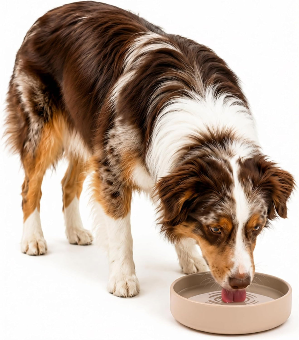 The Perfect Dish, Silicone Dog Bowl for Food & Water - Sand / Medium (7.5” Across x 2.25” Tall)