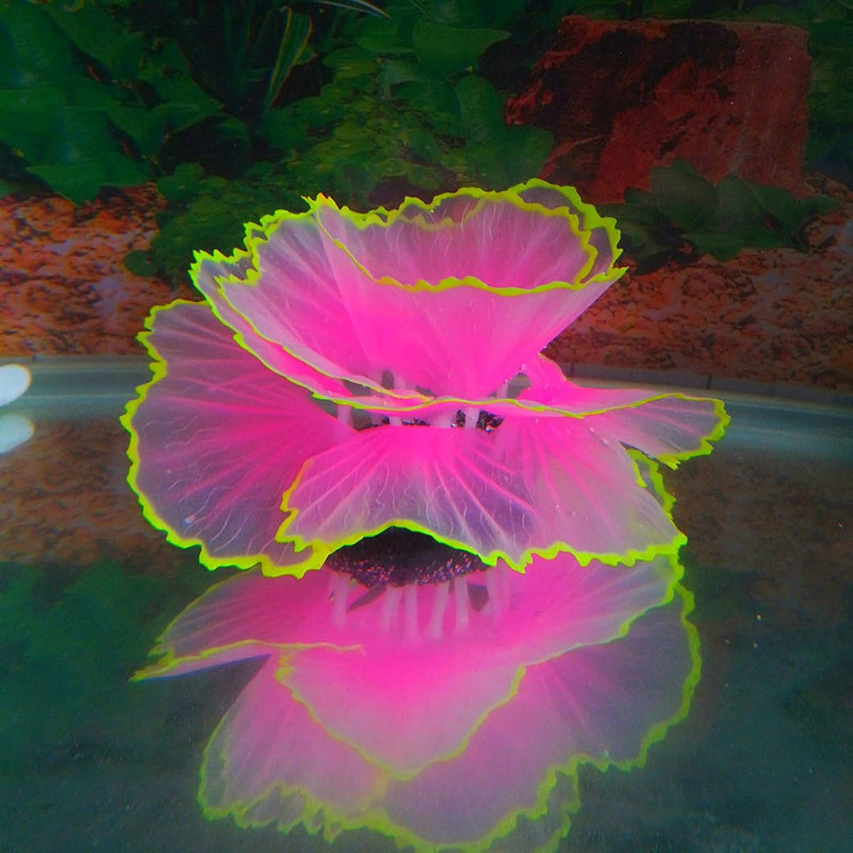 Besimple glowing effect artificial coral ornament for aquariums - view 2