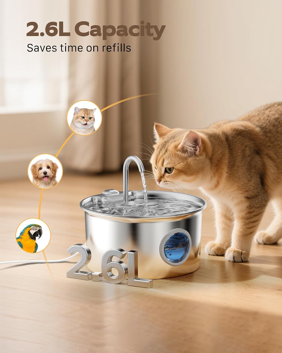 Cat Water Fountain Stainless Steel: Cat Fountain for Drinking - Cat Fountain - image 2