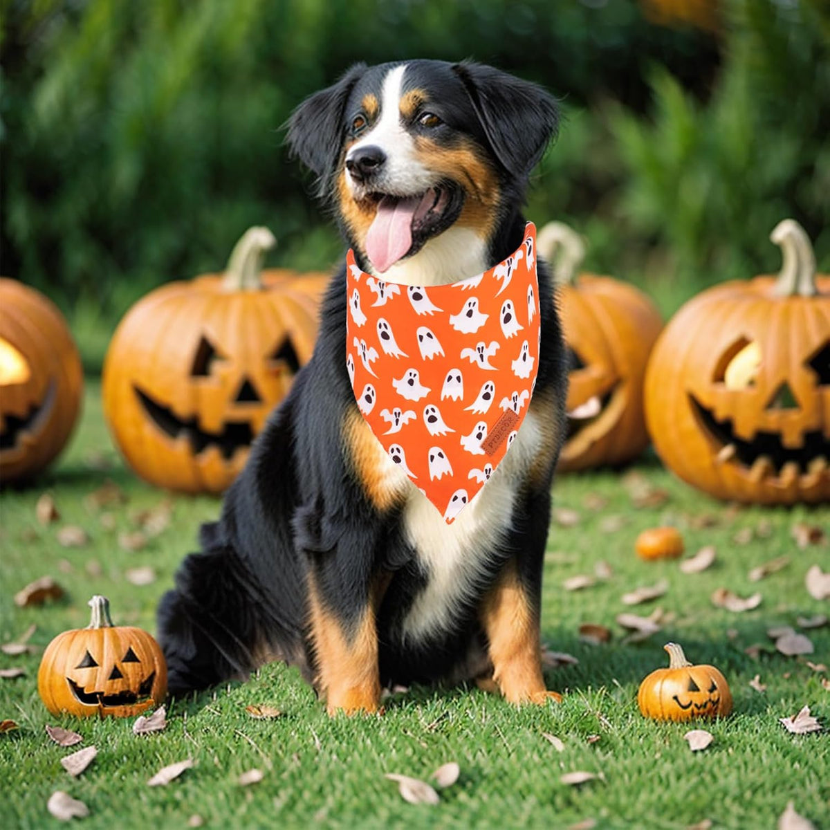 PTDECOR Halloween Dog Bandana, Ghost Pumpkin Dog Scarf - Large / Orange - image 2