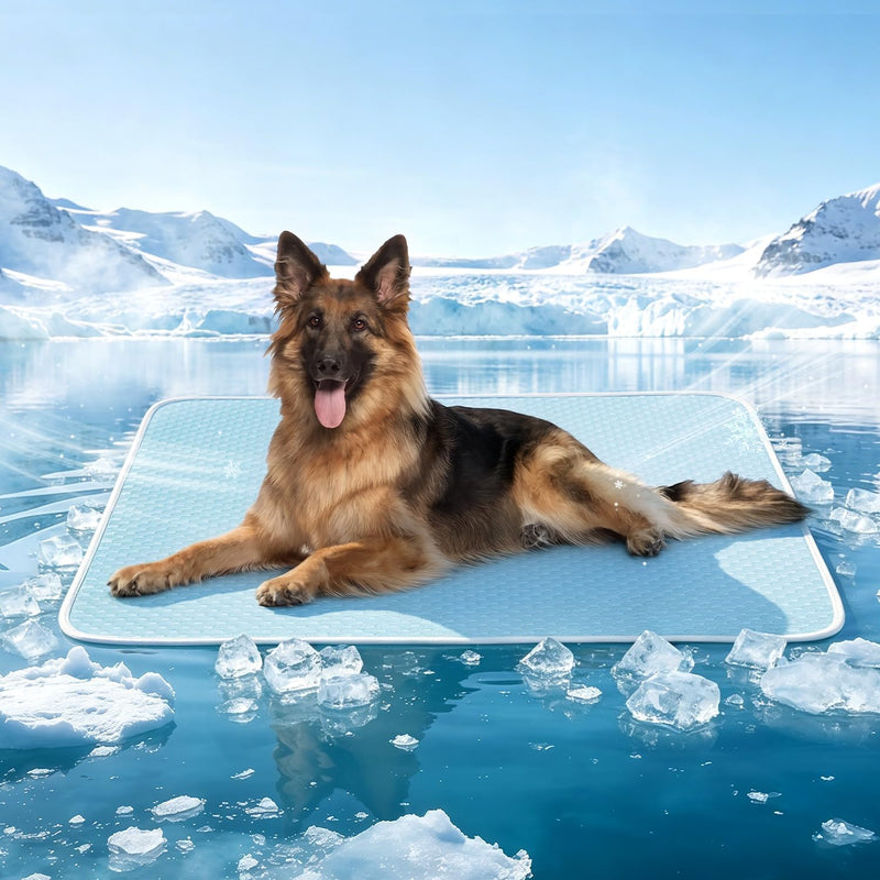 Mora Pets Dog Cooling Mat Instant Pet Cooling Pad Bed for Large Dogs - Blue / 47-Inch (X-Large)