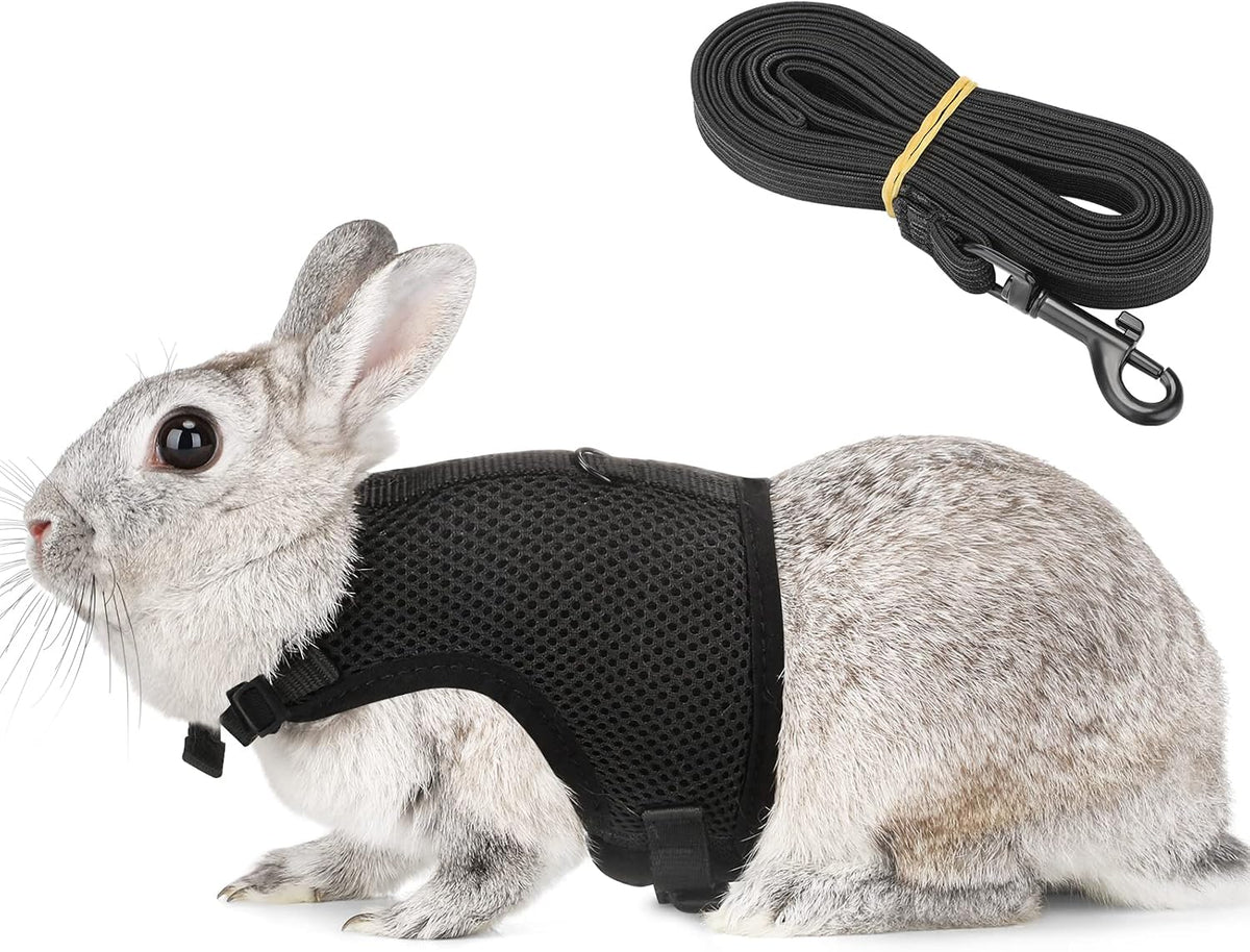 PETTOM Bunny Rabbit Guinea Pig Harness Stretchy Elastic Leash Cute - XL(Chest:12.5-15.7 in) / Black