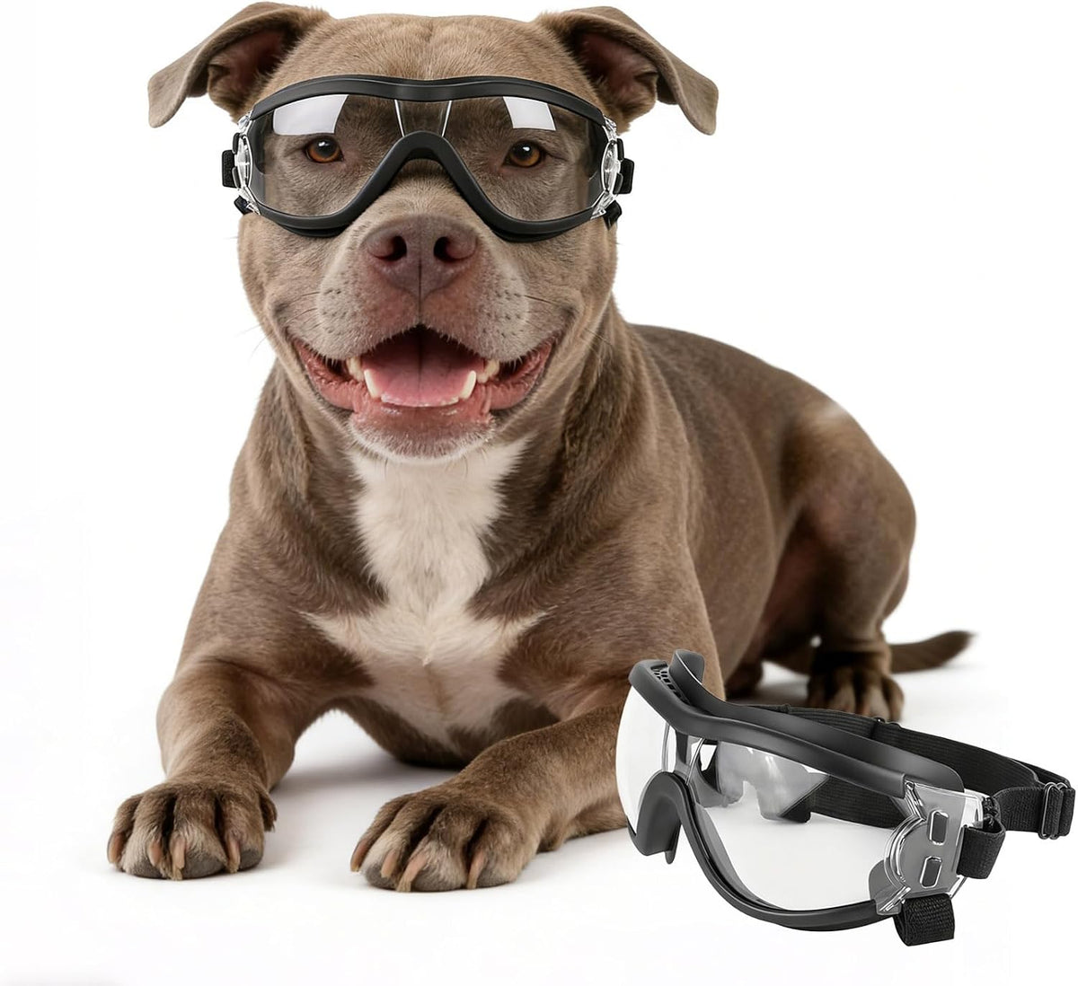 Dog Goggles for Large Breeds - Clear L