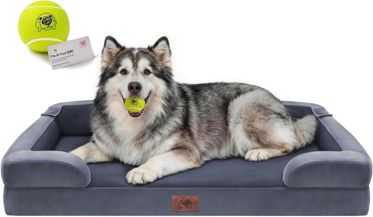 Waterproof Orthopedic Dog Bed for Extra Large Sized Dogs – Essentials for Dogs - 48 x 30 x 9 in / Dark Grey