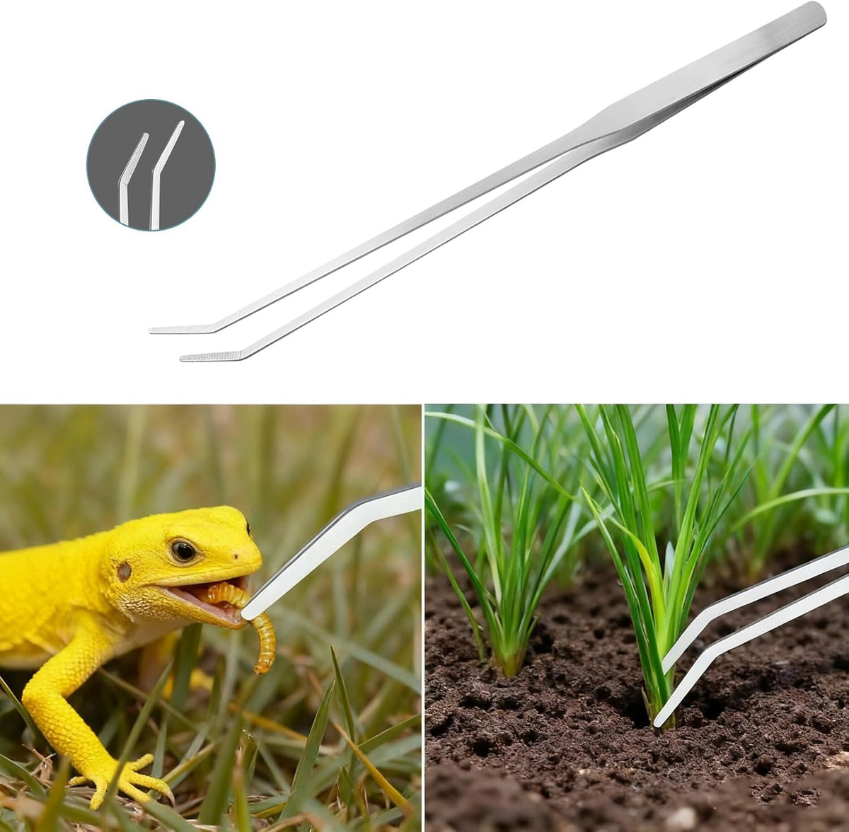 4IN1 Aquarium Cleaning Tools Long Handle Algae Scraper – Essentials for Fish - 9IN1 / 20~36In - image 4