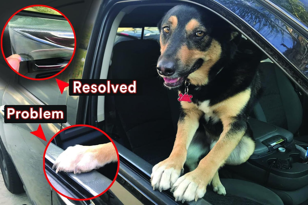 Scratch Protector Claw Barrier for Dogs – Essentials for Dogs - image 4