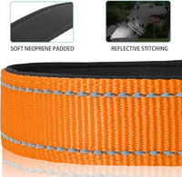 JSXD AirTag Dog Collar, Night Reflective Nylon Dog Collar for Small Medium Large Dogs,Lockable Quick Release Buckle,Padded Breathable Pet Collar with AirTag Holder (Orange, Medium)