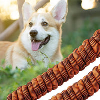 Long Dog Leash Tie-Out Check Cord - Orange / 20FT - image 4