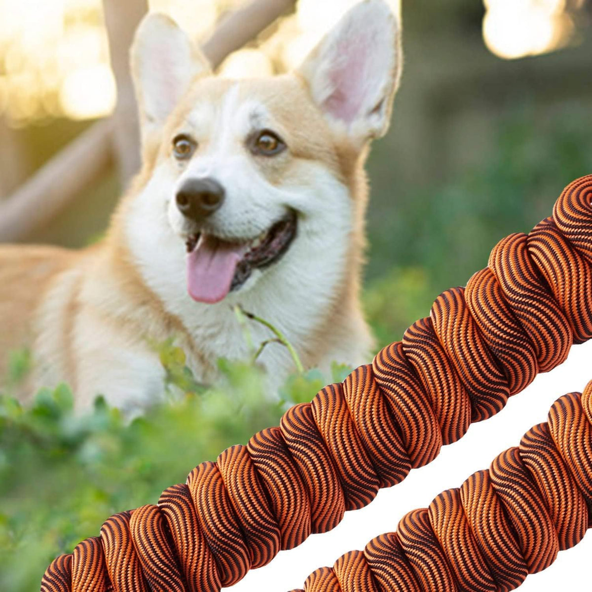 Long Dog Leash Tie-Out Check Cord - Orange / 20FT - image 4