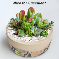 Aquarium Gravel,Landscaping Pebbles, Decorative Ornamental Pebbles Garden,Landscaping Stones Gravel Filler for Home Decoration Flower Bed Fish Tank Plants Vases Succulents (10 Pounds, White)