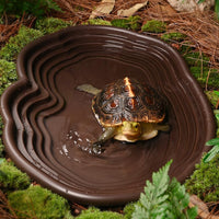 Extra Large Reptile Bathing Pool Reptile Feeding Dish Water Bowl - Black - image 4