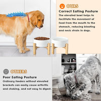 SPUNKYJUNKY Ceramic Elevated Dog Bowls 2 Pack - Medium - 3.6 CUPS*2 / White - image 3