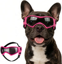 Clear Dog Goggles for Small Dogs - Cool Pink / Medium