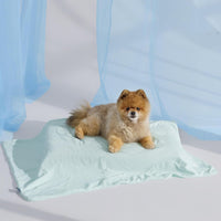 Bedsure Breathable Lightweight Cooling Blanket for Small Dogs - S(25x35") / Pale Jade