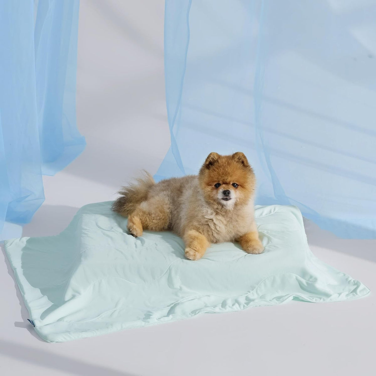Bedsure Breathable Lightweight Cooling Blanket for Small Dogs - S(25x35") / Pale Jade