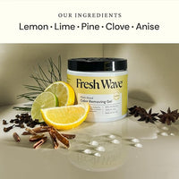 Fresh Wave Lemon Odor Removing Gel, 15 oz., Pack of 2 - Safer Odor Absorbers for Home, Natural Plant-Based Odor Eliminator, Every 15 oz. lasts 30-60 Days, For Cooking, Trash & Pets