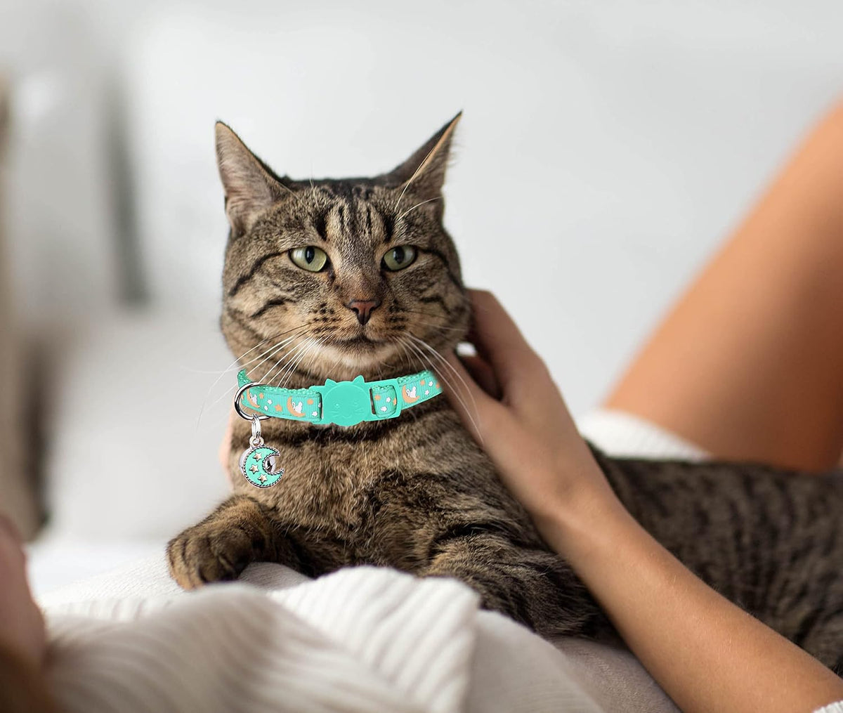 Baeuppit 2Pcs Breakaway Cats Collars Cat Collars for Boy & Girl Cats - 8.0-13.1" / Purple+Teal - image 2